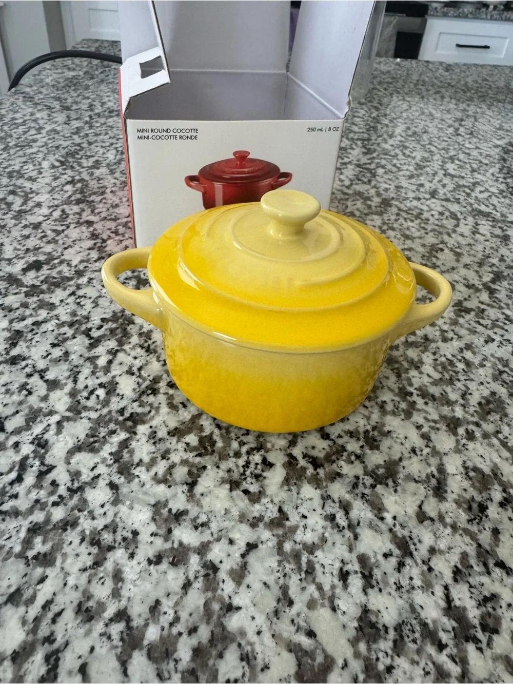 Pair of Le Creuset Soliel Mini Cocottes - Round Stoneware Casserole RARE